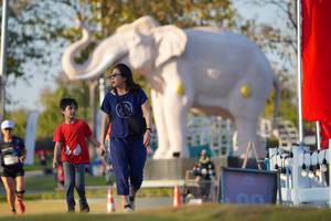 BIB: 
                            <button type="button" onclick="openModal(26188437)" class="btn btn-primary btn-sm float-right btn-popup" data-toggle="modal" data-target=".modal-high-quality">
                        <i class="fas fa-shopping-cart"></i> Add to Cart
                    </button>
                                            <button type="button" onclick="isThisMe(26188437, true)" class="btn btn-success btn-sm float-right btn-popup btn-isme hidden" data-toggle="tooltip" data-placement="bottom" title="นี่คือรูปของคุณใช่ไหม คลิกที่นี่เพื่อเอาเข้าอัลบั้ม">
                        <i class="fas fa-plus"></i> Add to album
                    </button>
                    <button type="button" onclick="isThisMe(26188437, false)" class="btn btn-warning btn-sm float-right btn-popup btn-isnotme hidden">
                        <i class="fas fa-ban"></i> Remove from album
                    </button>