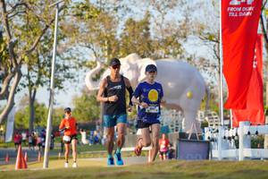 BIB: 
                            <button type="button" onclick="openModal(26188325)" class="btn btn-primary btn-sm float-right btn-popup" data-toggle="modal" data-target=".modal-high-quality">
                        <i class="fas fa-shopping-cart"></i> Add to Cart
                    </button>
                                            <button type="button" onclick="isThisMe(26188325, true)" class="btn btn-success btn-sm float-right btn-popup btn-isme hidden" data-toggle="tooltip" data-placement="bottom" title="นี่คือรูปของคุณใช่ไหม คลิกที่นี่เพื่อเอาเข้าอัลบั้ม">
                        <i class="fas fa-plus"></i> Add to album
                    </button>
                    <button type="button" onclick="isThisMe(26188325, false)" class="btn btn-warning btn-sm float-right btn-popup btn-isnotme hidden">
                        <i class="fas fa-ban"></i> Remove from album
                    </button>