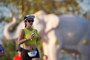 BIB: 
                            <button type="button" onclick="openModal(26188473)" class="btn btn-primary btn-sm float-right btn-popup" data-toggle="modal" data-target=".modal-high-quality">
                        <i class="fas fa-shopping-cart"></i> Add to Cart
                    </button>
                                            <button type="button" onclick="isThisMe(26188473, true)" class="btn btn-success btn-sm float-right btn-popup btn-isme hidden" data-toggle="tooltip" data-placement="bottom" title="นี่คือรูปของคุณใช่ไหม คลิกที่นี่เพื่อเอาเข้าอัลบั้ม">
                        <i class="fas fa-plus"></i> Add to album
                    </button>
                    <button type="button" onclick="isThisMe(26188473, false)" class="btn btn-warning btn-sm float-right btn-popup btn-isnotme hidden">
                        <i class="fas fa-ban"></i> Remove from album
                    </button>