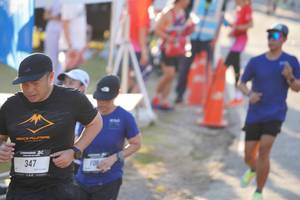 BIB: 
                            <button type="button" onclick="openModal(26189554)" class="btn btn-primary btn-sm float-right btn-popup" data-toggle="modal" data-target=".modal-high-quality">
                        <i class="fas fa-shopping-cart"></i> Add to Cart
                    </button>
                                            <button type="button" onclick="isThisMe(26189554, true)" class="btn btn-success btn-sm float-right btn-popup btn-isme hidden" data-toggle="tooltip" data-placement="bottom" title="นี่คือรูปของคุณใช่ไหม คลิกที่นี่เพื่อเอาเข้าอัลบั้ม">
                        <i class="fas fa-plus"></i> Add to album
                    </button>
                    <button type="button" onclick="isThisMe(26189554, false)" class="btn btn-warning btn-sm float-right btn-popup btn-isnotme hidden">
                        <i class="fas fa-ban"></i> Remove from album
                    </button>