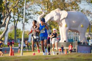 BIB: 
                            <button type="button" onclick="openModal(26188295)" class="btn btn-primary btn-sm float-right btn-popup" data-toggle="modal" data-target=".modal-high-quality">
                        <i class="fas fa-shopping-cart"></i> Add to Cart
                    </button>
                                            <button type="button" onclick="isThisMe(26188295, true)" class="btn btn-success btn-sm float-right btn-popup btn-isme hidden" data-toggle="tooltip" data-placement="bottom" title="นี่คือรูปของคุณใช่ไหม คลิกที่นี่เพื่อเอาเข้าอัลบั้ม">
                        <i class="fas fa-plus"></i> Add to album
                    </button>
                    <button type="button" onclick="isThisMe(26188295, false)" class="btn btn-warning btn-sm float-right btn-popup btn-isnotme hidden">
                        <i class="fas fa-ban"></i> Remove from album
                    </button>