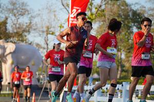 BIB: 
                            <button type="button" onclick="openModal(26189342)" class="btn btn-primary btn-sm float-right btn-popup" data-toggle="modal" data-target=".modal-high-quality">
                        <i class="fas fa-shopping-cart"></i> Add to Cart
                    </button>
                                            <button type="button" onclick="isThisMe(26189342, true)" class="btn btn-success btn-sm float-right btn-popup btn-isme hidden" data-toggle="tooltip" data-placement="bottom" title="นี่คือรูปของคุณใช่ไหม คลิกที่นี่เพื่อเอาเข้าอัลบั้ม">
                        <i class="fas fa-plus"></i> Add to album
                    </button>
                    <button type="button" onclick="isThisMe(26189342, false)" class="btn btn-warning btn-sm float-right btn-popup btn-isnotme hidden">
                        <i class="fas fa-ban"></i> Remove from album
                    </button>