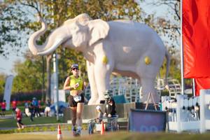 BIB: 
                            <button type="button" onclick="openModal(26188467)" class="btn btn-primary btn-sm float-right btn-popup" data-toggle="modal" data-target=".modal-high-quality">
                        <i class="fas fa-shopping-cart"></i> Add to Cart
                    </button>
                                            <button type="button" onclick="isThisMe(26188467, true)" class="btn btn-success btn-sm float-right btn-popup btn-isme hidden" data-toggle="tooltip" data-placement="bottom" title="นี่คือรูปของคุณใช่ไหม คลิกที่นี่เพื่อเอาเข้าอัลบั้ม">
                        <i class="fas fa-plus"></i> Add to album
                    </button>
                    <button type="button" onclick="isThisMe(26188467, false)" class="btn btn-warning btn-sm float-right btn-popup btn-isnotme hidden">
                        <i class="fas fa-ban"></i> Remove from album
                    </button>