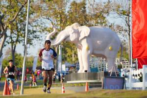 BIB: 
                            <button type="button" onclick="openModal(26188227)" class="btn btn-primary btn-sm float-right btn-popup" data-toggle="modal" data-target=".modal-high-quality">
                        <i class="fas fa-shopping-cart"></i> Add to Cart
                    </button>
                                            <button type="button" onclick="isThisMe(26188227, true)" class="btn btn-success btn-sm float-right btn-popup btn-isme hidden" data-toggle="tooltip" data-placement="bottom" title="นี่คือรูปของคุณใช่ไหม คลิกที่นี่เพื่อเอาเข้าอัลบั้ม">
                        <i class="fas fa-plus"></i> Add to album
                    </button>
                    <button type="button" onclick="isThisMe(26188227, false)" class="btn btn-warning btn-sm float-right btn-popup btn-isnotme hidden">
                        <i class="fas fa-ban"></i> Remove from album
                    </button>