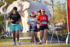 BIB: 
                            <button type="button" onclick="openModal(26188845)" class="btn btn-primary btn-sm float-right btn-popup" data-toggle="modal" data-target=".modal-high-quality">
                        <i class="fas fa-shopping-cart"></i> Add to Cart
                    </button>
                                            <button type="button" onclick="isThisMe(26188845, true)" class="btn btn-success btn-sm float-right btn-popup btn-isme hidden" data-toggle="tooltip" data-placement="bottom" title="นี่คือรูปของคุณใช่ไหม คลิกที่นี่เพื่อเอาเข้าอัลบั้ม">
                        <i class="fas fa-plus"></i> Add to album
                    </button>
                    <button type="button" onclick="isThisMe(26188845, false)" class="btn btn-warning btn-sm float-right btn-popup btn-isnotme hidden">
                        <i class="fas fa-ban"></i> Remove from album
                    </button>