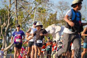 BIB: 
                            <button type="button" onclick="openModal(26187606)" class="btn btn-primary btn-sm float-right btn-popup" data-toggle="modal" data-target=".modal-high-quality">
                        <i class="fas fa-shopping-cart"></i> Add to Cart
                    </button>
                                            <button type="button" onclick="isThisMe(26187606, true)" class="btn btn-success btn-sm float-right btn-popup btn-isme hidden" data-toggle="tooltip" data-placement="bottom" title="นี่คือรูปของคุณใช่ไหม คลิกที่นี่เพื่อเอาเข้าอัลบั้ม">
                        <i class="fas fa-plus"></i> Add to album
                    </button>
                    <button type="button" onclick="isThisMe(26187606, false)" class="btn btn-warning btn-sm float-right btn-popup btn-isnotme hidden">
                        <i class="fas fa-ban"></i> Remove from album
                    </button>