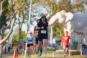 BIB: 
                            <button type="button" onclick="openModal(26188807)" class="btn btn-primary btn-sm float-right btn-popup" data-toggle="modal" data-target=".modal-high-quality">
                        <i class="fas fa-shopping-cart"></i> Add to Cart
                    </button>
                                            <button type="button" onclick="isThisMe(26188807, true)" class="btn btn-success btn-sm float-right btn-popup btn-isme hidden" data-toggle="tooltip" data-placement="bottom" title="นี่คือรูปของคุณใช่ไหม คลิกที่นี่เพื่อเอาเข้าอัลบั้ม">
                        <i class="fas fa-plus"></i> Add to album
                    </button>
                    <button type="button" onclick="isThisMe(26188807, false)" class="btn btn-warning btn-sm float-right btn-popup btn-isnotme hidden">
                        <i class="fas fa-ban"></i> Remove from album
                    </button>