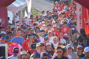 BIB: 
                            <button type="button" onclick="openModal(26187573)" class="btn btn-primary btn-sm float-right btn-popup" data-toggle="modal" data-target=".modal-high-quality">
                        <i class="fas fa-shopping-cart"></i> Add to Cart
                    </button>
                                            <button type="button" onclick="isThisMe(26187573, true)" class="btn btn-success btn-sm float-right btn-popup btn-isme hidden" data-toggle="tooltip" data-placement="bottom" title="นี่คือรูปของคุณใช่ไหม คลิกที่นี่เพื่อเอาเข้าอัลบั้ม">
                        <i class="fas fa-plus"></i> Add to album
                    </button>
                    <button type="button" onclick="isThisMe(26187573, false)" class="btn btn-warning btn-sm float-right btn-popup btn-isnotme hidden">
                        <i class="fas fa-ban"></i> Remove from album
                    </button>