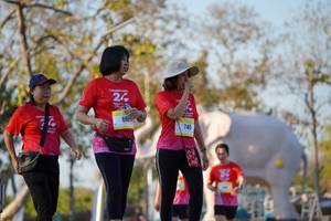 BIB: 
                            <button type="button" onclick="openModal(26189253)" class="btn btn-primary btn-sm float-right btn-popup" data-toggle="modal" data-target=".modal-high-quality">
                        <i class="fas fa-shopping-cart"></i> Add to Cart
                    </button>
                                            <button type="button" onclick="isThisMe(26189253, true)" class="btn btn-success btn-sm float-right btn-popup btn-isme hidden" data-toggle="tooltip" data-placement="bottom" title="นี่คือรูปของคุณใช่ไหม คลิกที่นี่เพื่อเอาเข้าอัลบั้ม">
                        <i class="fas fa-plus"></i> Add to album
                    </button>
                    <button type="button" onclick="isThisMe(26189253, false)" class="btn btn-warning btn-sm float-right btn-popup btn-isnotme hidden">
                        <i class="fas fa-ban"></i> Remove from album
                    </button>