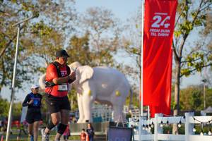 BIB: 
                            <button type="button" onclick="openModal(26188358)" class="btn btn-primary btn-sm float-right btn-popup" data-toggle="modal" data-target=".modal-high-quality">
                        <i class="fas fa-shopping-cart"></i> Add to Cart
                    </button>
                                            <button type="button" onclick="isThisMe(26188358, true)" class="btn btn-success btn-sm float-right btn-popup btn-isme hidden" data-toggle="tooltip" data-placement="bottom" title="นี่คือรูปของคุณใช่ไหม คลิกที่นี่เพื่อเอาเข้าอัลบั้ม">
                        <i class="fas fa-plus"></i> Add to album
                    </button>
                    <button type="button" onclick="isThisMe(26188358, false)" class="btn btn-warning btn-sm float-right btn-popup btn-isnotme hidden">
                        <i class="fas fa-ban"></i> Remove from album
                    </button>