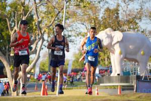 BIB: 
                            <button type="button" onclick="openModal(26188202)" class="btn btn-primary btn-sm float-right btn-popup" data-toggle="modal" data-target=".modal-high-quality">
                        <i class="fas fa-shopping-cart"></i> Add to Cart
                    </button>
                                            <button type="button" onclick="isThisMe(26188202, true)" class="btn btn-success btn-sm float-right btn-popup btn-isme hidden" data-toggle="tooltip" data-placement="bottom" title="นี่คือรูปของคุณใช่ไหม คลิกที่นี่เพื่อเอาเข้าอัลบั้ม">
                        <i class="fas fa-plus"></i> Add to album
                    </button>
                    <button type="button" onclick="isThisMe(26188202, false)" class="btn btn-warning btn-sm float-right btn-popup btn-isnotme hidden">
                        <i class="fas fa-ban"></i> Remove from album
                    </button>