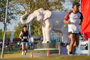 BIB: 
                            <button type="button" onclick="openModal(26188236)" class="btn btn-primary btn-sm float-right btn-popup" data-toggle="modal" data-target=".modal-high-quality">
                        <i class="fas fa-shopping-cart"></i> Add to Cart
                    </button>
                                            <button type="button" onclick="isThisMe(26188236, true)" class="btn btn-success btn-sm float-right btn-popup btn-isme hidden" data-toggle="tooltip" data-placement="bottom" title="นี่คือรูปของคุณใช่ไหม คลิกที่นี่เพื่อเอาเข้าอัลบั้ม">
                        <i class="fas fa-plus"></i> Add to album
                    </button>
                    <button type="button" onclick="isThisMe(26188236, false)" class="btn btn-warning btn-sm float-right btn-popup btn-isnotme hidden">
                        <i class="fas fa-ban"></i> Remove from album
                    </button>