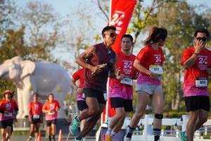 BIB: 
                            <button type="button" onclick="openModal(26189341)" class="btn btn-primary btn-sm float-right btn-popup" data-toggle="modal" data-target=".modal-high-quality">
                        <i class="fas fa-shopping-cart"></i> Add to Cart
                    </button>
                                            <button type="button" onclick="isThisMe(26189341, true)" class="btn btn-success btn-sm float-right btn-popup btn-isme hidden" data-toggle="tooltip" data-placement="bottom" title="นี่คือรูปของคุณใช่ไหม คลิกที่นี่เพื่อเอาเข้าอัลบั้ม">
                        <i class="fas fa-plus"></i> Add to album
                    </button>
                    <button type="button" onclick="isThisMe(26189341, false)" class="btn btn-warning btn-sm float-right btn-popup btn-isnotme hidden">
                        <i class="fas fa-ban"></i> Remove from album
                    </button>