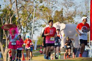 BIB: 
                            <button type="button" onclick="openModal(26188760)" class="btn btn-primary btn-sm float-right btn-popup" data-toggle="modal" data-target=".modal-high-quality">
                        <i class="fas fa-shopping-cart"></i> Add to Cart
                    </button>
                                            <button type="button" onclick="isThisMe(26188760, true)" class="btn btn-success btn-sm float-right btn-popup btn-isme hidden" data-toggle="tooltip" data-placement="bottom" title="นี่คือรูปของคุณใช่ไหม คลิกที่นี่เพื่อเอาเข้าอัลบั้ม">
                        <i class="fas fa-plus"></i> Add to album
                    </button>
                    <button type="button" onclick="isThisMe(26188760, false)" class="btn btn-warning btn-sm float-right btn-popup btn-isnotme hidden">
                        <i class="fas fa-ban"></i> Remove from album
                    </button>