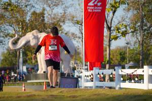 BIB: 
                            <button type="button" onclick="openModal(26188166)" class="btn btn-primary btn-sm float-right btn-popup" data-toggle="modal" data-target=".modal-high-quality">
                        <i class="fas fa-shopping-cart"></i> Add to Cart
                    </button>
                                            <button type="button" onclick="isThisMe(26188166, true)" class="btn btn-success btn-sm float-right btn-popup btn-isme hidden" data-toggle="tooltip" data-placement="bottom" title="นี่คือรูปของคุณใช่ไหม คลิกที่นี่เพื่อเอาเข้าอัลบั้ม">
                        <i class="fas fa-plus"></i> Add to album
                    </button>
                    <button type="button" onclick="isThisMe(26188166, false)" class="btn btn-warning btn-sm float-right btn-popup btn-isnotme hidden">
                        <i class="fas fa-ban"></i> Remove from album
                    </button>