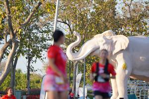 BIB: 
                            <button type="button" onclick="openModal(26189290)" class="btn btn-primary btn-sm float-right btn-popup" data-toggle="modal" data-target=".modal-high-quality">
                        <i class="fas fa-shopping-cart"></i> Add to Cart
                    </button>
                                            <button type="button" onclick="isThisMe(26189290, true)" class="btn btn-success btn-sm float-right btn-popup btn-isme hidden" data-toggle="tooltip" data-placement="bottom" title="นี่คือรูปของคุณใช่ไหม คลิกที่นี่เพื่อเอาเข้าอัลบั้ม">
                        <i class="fas fa-plus"></i> Add to album
                    </button>
                    <button type="button" onclick="isThisMe(26189290, false)" class="btn btn-warning btn-sm float-right btn-popup btn-isnotme hidden">
                        <i class="fas fa-ban"></i> Remove from album
                    </button>