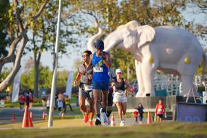 BIB: 
                            <button type="button" onclick="openModal(26188293)" class="btn btn-primary btn-sm float-right btn-popup" data-toggle="modal" data-target=".modal-high-quality">
                        <i class="fas fa-shopping-cart"></i> Add to Cart
                    </button>
                                            <button type="button" onclick="isThisMe(26188293, true)" class="btn btn-success btn-sm float-right btn-popup btn-isme hidden" data-toggle="tooltip" data-placement="bottom" title="นี่คือรูปของคุณใช่ไหม คลิกที่นี่เพื่อเอาเข้าอัลบั้ม">
                        <i class="fas fa-plus"></i> Add to album
                    </button>
                    <button type="button" onclick="isThisMe(26188293, false)" class="btn btn-warning btn-sm float-right btn-popup btn-isnotme hidden">
                        <i class="fas fa-ban"></i> Remove from album
                    </button>