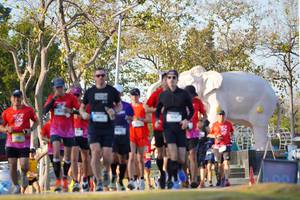 BIB: 
                            <button type="button" onclick="openModal(26188605)" class="btn btn-primary btn-sm float-right btn-popup" data-toggle="modal" data-target=".modal-high-quality">
                        <i class="fas fa-shopping-cart"></i> Add to Cart
                    </button>
                                            <button type="button" onclick="isThisMe(26188605, true)" class="btn btn-success btn-sm float-right btn-popup btn-isme hidden" data-toggle="tooltip" data-placement="bottom" title="นี่คือรูปของคุณใช่ไหม คลิกที่นี่เพื่อเอาเข้าอัลบั้ม">
                        <i class="fas fa-plus"></i> Add to album
                    </button>
                    <button type="button" onclick="isThisMe(26188605, false)" class="btn btn-warning btn-sm float-right btn-popup btn-isnotme hidden">
                        <i class="fas fa-ban"></i> Remove from album
                    </button>