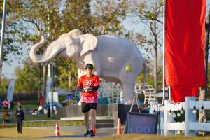 BIB: 
                            <button type="button" onclick="openModal(26188158)" class="btn btn-primary btn-sm float-right btn-popup" data-toggle="modal" data-target=".modal-high-quality">
                        <i class="fas fa-shopping-cart"></i> Add to Cart
                    </button>
                                            <button type="button" onclick="isThisMe(26188158, true)" class="btn btn-success btn-sm float-right btn-popup btn-isme hidden" data-toggle="tooltip" data-placement="bottom" title="นี่คือรูปของคุณใช่ไหม คลิกที่นี่เพื่อเอาเข้าอัลบั้ม">
                        <i class="fas fa-plus"></i> Add to album
                    </button>
                    <button type="button" onclick="isThisMe(26188158, false)" class="btn btn-warning btn-sm float-right btn-popup btn-isnotme hidden">
                        <i class="fas fa-ban"></i> Remove from album
                    </button>