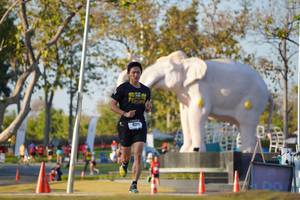 BIB: 
                            <button type="button" onclick="openModal(26188285)" class="btn btn-primary btn-sm float-right btn-popup" data-toggle="modal" data-target=".modal-high-quality">
                        <i class="fas fa-shopping-cart"></i> Add to Cart
                    </button>
                                            <button type="button" onclick="isThisMe(26188285, true)" class="btn btn-success btn-sm float-right btn-popup btn-isme hidden" data-toggle="tooltip" data-placement="bottom" title="นี่คือรูปของคุณใช่ไหม คลิกที่นี่เพื่อเอาเข้าอัลบั้ม">
                        <i class="fas fa-plus"></i> Add to album
                    </button>
                    <button type="button" onclick="isThisMe(26188285, false)" class="btn btn-warning btn-sm float-right btn-popup btn-isnotme hidden">
                        <i class="fas fa-ban"></i> Remove from album
                    </button>