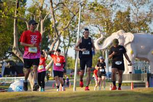 BIB: 
                            <button type="button" onclick="openModal(26188788)" class="btn btn-primary btn-sm float-right btn-popup" data-toggle="modal" data-target=".modal-high-quality">
                        <i class="fas fa-shopping-cart"></i> Add to Cart
                    </button>
                                            <button type="button" onclick="isThisMe(26188788, true)" class="btn btn-success btn-sm float-right btn-popup btn-isme hidden" data-toggle="tooltip" data-placement="bottom" title="นี่คือรูปของคุณใช่ไหม คลิกที่นี่เพื่อเอาเข้าอัลบั้ม">
                        <i class="fas fa-plus"></i> Add to album
                    </button>
                    <button type="button" onclick="isThisMe(26188788, false)" class="btn btn-warning btn-sm float-right btn-popup btn-isnotme hidden">
                        <i class="fas fa-ban"></i> Remove from album
                    </button>