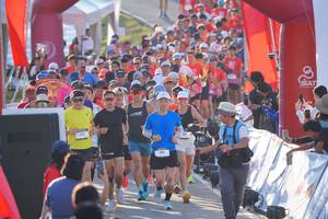 BIB: 
                            <button type="button" onclick="openModal(26187558)" class="btn btn-primary btn-sm float-right btn-popup" data-toggle="modal" data-target=".modal-high-quality">
                        <i class="fas fa-shopping-cart"></i> Add to Cart
                    </button>
                                            <button type="button" onclick="isThisMe(26187558, true)" class="btn btn-success btn-sm float-right btn-popup btn-isme hidden" data-toggle="tooltip" data-placement="bottom" title="นี่คือรูปของคุณใช่ไหม คลิกที่นี่เพื่อเอาเข้าอัลบั้ม">
                        <i class="fas fa-plus"></i> Add to album
                    </button>
                    <button type="button" onclick="isThisMe(26187558, false)" class="btn btn-warning btn-sm float-right btn-popup btn-isnotme hidden">
                        <i class="fas fa-ban"></i> Remove from album
                    </button>