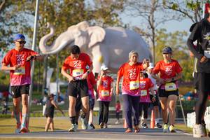 BIB: 
                            <button type="button" onclick="openModal(26187951)" class="btn btn-primary btn-sm float-right btn-popup" data-toggle="modal" data-target=".modal-high-quality">
                        <i class="fas fa-shopping-cart"></i> Add to Cart
                    </button>
                                            <button type="button" onclick="isThisMe(26187951, true)" class="btn btn-success btn-sm float-right btn-popup btn-isme hidden" data-toggle="tooltip" data-placement="bottom" title="นี่คือรูปของคุณใช่ไหม คลิกที่นี่เพื่อเอาเข้าอัลบั้ม">
                        <i class="fas fa-plus"></i> Add to album
                    </button>
                    <button type="button" onclick="isThisMe(26187951, false)" class="btn btn-warning btn-sm float-right btn-popup btn-isnotme hidden">
                        <i class="fas fa-ban"></i> Remove from album
                    </button>