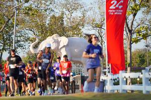 BIB: 
                            <button type="button" onclick="openModal(26188597)" class="btn btn-primary btn-sm float-right btn-popup" data-toggle="modal" data-target=".modal-high-quality">
                        <i class="fas fa-shopping-cart"></i> Add to Cart
                    </button>
                                            <button type="button" onclick="isThisMe(26188597, true)" class="btn btn-success btn-sm float-right btn-popup btn-isme hidden" data-toggle="tooltip" data-placement="bottom" title="นี่คือรูปของคุณใช่ไหม คลิกที่นี่เพื่อเอาเข้าอัลบั้ม">
                        <i class="fas fa-plus"></i> Add to album
                    </button>
                    <button type="button" onclick="isThisMe(26188597, false)" class="btn btn-warning btn-sm float-right btn-popup btn-isnotme hidden">
                        <i class="fas fa-ban"></i> Remove from album
                    </button>