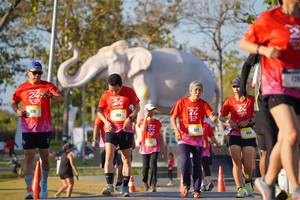 BIB: 
                            <button type="button" onclick="openModal(26187950)" class="btn btn-primary btn-sm float-right btn-popup" data-toggle="modal" data-target=".modal-high-quality">
                        <i class="fas fa-shopping-cart"></i> Add to Cart
                    </button>
                                            <button type="button" onclick="isThisMe(26187950, true)" class="btn btn-success btn-sm float-right btn-popup btn-isme hidden" data-toggle="tooltip" data-placement="bottom" title="นี่คือรูปของคุณใช่ไหม คลิกที่นี่เพื่อเอาเข้าอัลบั้ม">
                        <i class="fas fa-plus"></i> Add to album
                    </button>
                    <button type="button" onclick="isThisMe(26187950, false)" class="btn btn-warning btn-sm float-right btn-popup btn-isnotme hidden">
                        <i class="fas fa-ban"></i> Remove from album
                    </button>