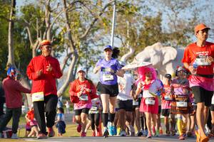 BIB: 
                            <button type="button" onclick="openModal(26187641)" class="btn btn-primary btn-sm float-right btn-popup" data-toggle="modal" data-target=".modal-high-quality">
                        <i class="fas fa-shopping-cart"></i> Add to Cart
                    </button>
                                            <button type="button" onclick="isThisMe(26187641, true)" class="btn btn-success btn-sm float-right btn-popup btn-isme hidden" data-toggle="tooltip" data-placement="bottom" title="นี่คือรูปของคุณใช่ไหม คลิกที่นี่เพื่อเอาเข้าอัลบั้ม">
                        <i class="fas fa-plus"></i> Add to album
                    </button>
                    <button type="button" onclick="isThisMe(26187641, false)" class="btn btn-warning btn-sm float-right btn-popup btn-isnotme hidden">
                        <i class="fas fa-ban"></i> Remove from album
                    </button>