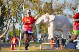 BIB: 
                            <button type="button" onclick="openModal(26188394)" class="btn btn-primary btn-sm float-right btn-popup" data-toggle="modal" data-target=".modal-high-quality">
                        <i class="fas fa-shopping-cart"></i> Add to Cart
                    </button>
                                            <button type="button" onclick="isThisMe(26188394, true)" class="btn btn-success btn-sm float-right btn-popup btn-isme hidden" data-toggle="tooltip" data-placement="bottom" title="นี่คือรูปของคุณใช่ไหม คลิกที่นี่เพื่อเอาเข้าอัลบั้ม">
                        <i class="fas fa-plus"></i> Add to album
                    </button>
                    <button type="button" onclick="isThisMe(26188394, false)" class="btn btn-warning btn-sm float-right btn-popup btn-isnotme hidden">
                        <i class="fas fa-ban"></i> Remove from album
                    </button>