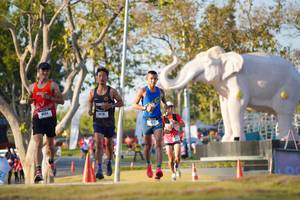 BIB: 
                            <button type="button" onclick="openModal(26188194)" class="btn btn-primary btn-sm float-right btn-popup" data-toggle="modal" data-target=".modal-high-quality">
                        <i class="fas fa-shopping-cart"></i> Add to Cart
                    </button>
                                            <button type="button" onclick="isThisMe(26188194, true)" class="btn btn-success btn-sm float-right btn-popup btn-isme hidden" data-toggle="tooltip" data-placement="bottom" title="นี่คือรูปของคุณใช่ไหม คลิกที่นี่เพื่อเอาเข้าอัลบั้ม">
                        <i class="fas fa-plus"></i> Add to album
                    </button>
                    <button type="button" onclick="isThisMe(26188194, false)" class="btn btn-warning btn-sm float-right btn-popup btn-isnotme hidden">
                        <i class="fas fa-ban"></i> Remove from album
                    </button>