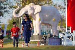 BIB: 
                            <button type="button" onclick="openModal(26188436)" class="btn btn-primary btn-sm float-right btn-popup" data-toggle="modal" data-target=".modal-high-quality">
                        <i class="fas fa-shopping-cart"></i> Add to Cart
                    </button>
                                            <button type="button" onclick="isThisMe(26188436, true)" class="btn btn-success btn-sm float-right btn-popup btn-isme hidden" data-toggle="tooltip" data-placement="bottom" title="นี่คือรูปของคุณใช่ไหม คลิกที่นี่เพื่อเอาเข้าอัลบั้ม">
                        <i class="fas fa-plus"></i> Add to album
                    </button>
                    <button type="button" onclick="isThisMe(26188436, false)" class="btn btn-warning btn-sm float-right btn-popup btn-isnotme hidden">
                        <i class="fas fa-ban"></i> Remove from album
                    </button>