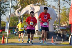 BIB: 
                            <button type="button" onclick="openModal(26189383)" class="btn btn-primary btn-sm float-right btn-popup" data-toggle="modal" data-target=".modal-high-quality">
                        <i class="fas fa-shopping-cart"></i> Add to Cart
                    </button>
                                            <button type="button" onclick="isThisMe(26189383, true)" class="btn btn-success btn-sm float-right btn-popup btn-isme hidden" data-toggle="tooltip" data-placement="bottom" title="นี่คือรูปของคุณใช่ไหม คลิกที่นี่เพื่อเอาเข้าอัลบั้ม">
                        <i class="fas fa-plus"></i> Add to album
                    </button>
                    <button type="button" onclick="isThisMe(26189383, false)" class="btn btn-warning btn-sm float-right btn-popup btn-isnotme hidden">
                        <i class="fas fa-ban"></i> Remove from album
                    </button>