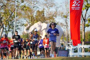 BIB: 
                            <button type="button" onclick="openModal(26188590)" class="btn btn-primary btn-sm float-right btn-popup" data-toggle="modal" data-target=".modal-high-quality">
                        <i class="fas fa-shopping-cart"></i> Add to Cart
                    </button>
                                            <button type="button" onclick="isThisMe(26188590, true)" class="btn btn-success btn-sm float-right btn-popup btn-isme hidden" data-toggle="tooltip" data-placement="bottom" title="นี่คือรูปของคุณใช่ไหม คลิกที่นี่เพื่อเอาเข้าอัลบั้ม">
                        <i class="fas fa-plus"></i> Add to album
                    </button>
                    <button type="button" onclick="isThisMe(26188590, false)" class="btn btn-warning btn-sm float-right btn-popup btn-isnotme hidden">
                        <i class="fas fa-ban"></i> Remove from album
                    </button>