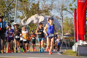 BIB: 
                            <button type="button" onclick="openModal(26187591)" class="btn btn-primary btn-sm float-right btn-popup" data-toggle="modal" data-target=".modal-high-quality">
                        <i class="fas fa-shopping-cart"></i> Add to Cart
                    </button>
                                            <button type="button" onclick="isThisMe(26187591, true)" class="btn btn-success btn-sm float-right btn-popup btn-isme hidden" data-toggle="tooltip" data-placement="bottom" title="นี่คือรูปของคุณใช่ไหม คลิกที่นี่เพื่อเอาเข้าอัลบั้ม">
                        <i class="fas fa-plus"></i> Add to album
                    </button>
                    <button type="button" onclick="isThisMe(26187591, false)" class="btn btn-warning btn-sm float-right btn-popup btn-isnotme hidden">
                        <i class="fas fa-ban"></i> Remove from album
                    </button>