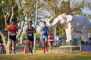 BIB: 
                            <button type="button" onclick="openModal(26188193)" class="btn btn-primary btn-sm float-right btn-popup" data-toggle="modal" data-target=".modal-high-quality">
                        <i class="fas fa-shopping-cart"></i> Add to Cart
                    </button>
                                            <button type="button" onclick="isThisMe(26188193, true)" class="btn btn-success btn-sm float-right btn-popup btn-isme hidden" data-toggle="tooltip" data-placement="bottom" title="นี่คือรูปของคุณใช่ไหม คลิกที่นี่เพื่อเอาเข้าอัลบั้ม">
                        <i class="fas fa-plus"></i> Add to album
                    </button>
                    <button type="button" onclick="isThisMe(26188193, false)" class="btn btn-warning btn-sm float-right btn-popup btn-isnotme hidden">
                        <i class="fas fa-ban"></i> Remove from album
                    </button>