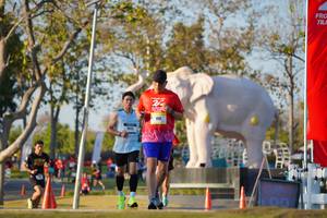 BIB: 
                            <button type="button" onclick="openModal(26188265)" class="btn btn-primary btn-sm float-right btn-popup" data-toggle="modal" data-target=".modal-high-quality">
                        <i class="fas fa-shopping-cart"></i> Add to Cart
                    </button>
                                            <button type="button" onclick="isThisMe(26188265, true)" class="btn btn-success btn-sm float-right btn-popup btn-isme hidden" data-toggle="tooltip" data-placement="bottom" title="นี่คือรูปของคุณใช่ไหม คลิกที่นี่เพื่อเอาเข้าอัลบั้ม">
                        <i class="fas fa-plus"></i> Add to album
                    </button>
                    <button type="button" onclick="isThisMe(26188265, false)" class="btn btn-warning btn-sm float-right btn-popup btn-isnotme hidden">
                        <i class="fas fa-ban"></i> Remove from album
                    </button>