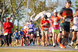 BIB: 
                            <button type="button" onclick="openModal(26187626)" class="btn btn-primary btn-sm float-right btn-popup" data-toggle="modal" data-target=".modal-high-quality">
                        <i class="fas fa-shopping-cart"></i> Add to Cart
                    </button>
                                            <button type="button" onclick="isThisMe(26187626, true)" class="btn btn-success btn-sm float-right btn-popup btn-isme hidden" data-toggle="tooltip" data-placement="bottom" title="นี่คือรูปของคุณใช่ไหม คลิกที่นี่เพื่อเอาเข้าอัลบั้ม">
                        <i class="fas fa-plus"></i> Add to album
                    </button>
                    <button type="button" onclick="isThisMe(26187626, false)" class="btn btn-warning btn-sm float-right btn-popup btn-isnotme hidden">
                        <i class="fas fa-ban"></i> Remove from album
                    </button>