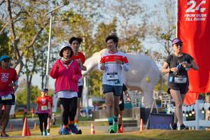 BIB: 
                            <button type="button" onclick="openModal(26188784)" class="btn btn-primary btn-sm float-right btn-popup" data-toggle="modal" data-target=".modal-high-quality">
                        <i class="fas fa-shopping-cart"></i> Add to Cart
                    </button>
                                            <button type="button" onclick="isThisMe(26188784, true)" class="btn btn-success btn-sm float-right btn-popup btn-isme hidden" data-toggle="tooltip" data-placement="bottom" title="นี่คือรูปของคุณใช่ไหม คลิกที่นี่เพื่อเอาเข้าอัลบั้ม">
                        <i class="fas fa-plus"></i> Add to album
                    </button>
                    <button type="button" onclick="isThisMe(26188784, false)" class="btn btn-warning btn-sm float-right btn-popup btn-isnotme hidden">
                        <i class="fas fa-ban"></i> Remove from album
                    </button>