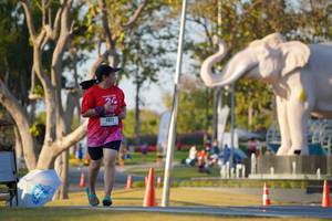 BIB: 
                            <button type="button" onclick="openModal(26189415)" class="btn btn-primary btn-sm float-right btn-popup" data-toggle="modal" data-target=".modal-high-quality">
                        <i class="fas fa-shopping-cart"></i> Add to Cart
                    </button>
                                            <button type="button" onclick="isThisMe(26189415, true)" class="btn btn-success btn-sm float-right btn-popup btn-isme hidden" data-toggle="tooltip" data-placement="bottom" title="นี่คือรูปของคุณใช่ไหม คลิกที่นี่เพื่อเอาเข้าอัลบั้ม">
                        <i class="fas fa-plus"></i> Add to album
                    </button>
                    <button type="button" onclick="isThisMe(26189415, false)" class="btn btn-warning btn-sm float-right btn-popup btn-isnotme hidden">
                        <i class="fas fa-ban"></i> Remove from album
                    </button>