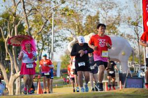 BIB: 
                            <button type="button" onclick="openModal(26188764)" class="btn btn-primary btn-sm float-right btn-popup" data-toggle="modal" data-target=".modal-high-quality">
                        <i class="fas fa-shopping-cart"></i> Add to Cart
                    </button>
                                            <button type="button" onclick="isThisMe(26188764, true)" class="btn btn-success btn-sm float-right btn-popup btn-isme hidden" data-toggle="tooltip" data-placement="bottom" title="นี่คือรูปของคุณใช่ไหม คลิกที่นี่เพื่อเอาเข้าอัลบั้ม">
                        <i class="fas fa-plus"></i> Add to album
                    </button>
                    <button type="button" onclick="isThisMe(26188764, false)" class="btn btn-warning btn-sm float-right btn-popup btn-isnotme hidden">
                        <i class="fas fa-ban"></i> Remove from album
                    </button>