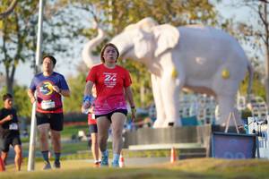 BIB: 
                            <button type="button" onclick="openModal(26188827)" class="btn btn-primary btn-sm float-right btn-popup" data-toggle="modal" data-target=".modal-high-quality">
                        <i class="fas fa-shopping-cart"></i> Add to Cart
                    </button>
                                            <button type="button" onclick="isThisMe(26188827, true)" class="btn btn-success btn-sm float-right btn-popup btn-isme hidden" data-toggle="tooltip" data-placement="bottom" title="นี่คือรูปของคุณใช่ไหม คลิกที่นี่เพื่อเอาเข้าอัลบั้ม">
                        <i class="fas fa-plus"></i> Add to album
                    </button>
                    <button type="button" onclick="isThisMe(26188827, false)" class="btn btn-warning btn-sm float-right btn-popup btn-isnotme hidden">
                        <i class="fas fa-ban"></i> Remove from album
                    </button>