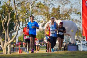 BIB: 
                            <button type="button" onclick="openModal(26188525)" class="btn btn-primary btn-sm float-right btn-popup" data-toggle="modal" data-target=".modal-high-quality">
                        <i class="fas fa-shopping-cart"></i> Add to Cart
                    </button>
                                            <button type="button" onclick="isThisMe(26188525, true)" class="btn btn-success btn-sm float-right btn-popup btn-isme hidden" data-toggle="tooltip" data-placement="bottom" title="นี่คือรูปของคุณใช่ไหม คลิกที่นี่เพื่อเอาเข้าอัลบั้ม">
                        <i class="fas fa-plus"></i> Add to album
                    </button>
                    <button type="button" onclick="isThisMe(26188525, false)" class="btn btn-warning btn-sm float-right btn-popup btn-isnotme hidden">
                        <i class="fas fa-ban"></i> Remove from album
                    </button>