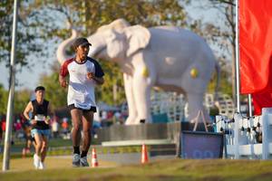 BIB: 
                            <button type="button" onclick="openModal(26188229)" class="btn btn-primary btn-sm float-right btn-popup" data-toggle="modal" data-target=".modal-high-quality">
                        <i class="fas fa-shopping-cart"></i> Add to Cart
                    </button>
                                            <button type="button" onclick="isThisMe(26188229, true)" class="btn btn-success btn-sm float-right btn-popup btn-isme hidden" data-toggle="tooltip" data-placement="bottom" title="นี่คือรูปของคุณใช่ไหม คลิกที่นี่เพื่อเอาเข้าอัลบั้ม">
                        <i class="fas fa-plus"></i> Add to album
                    </button>
                    <button type="button" onclick="isThisMe(26188229, false)" class="btn btn-warning btn-sm float-right btn-popup btn-isnotme hidden">
                        <i class="fas fa-ban"></i> Remove from album
                    </button>