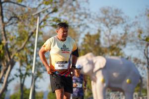 BIB: 
                            <button type="button" onclick="openModal(26188069)" class="btn btn-primary btn-sm float-right btn-popup" data-toggle="modal" data-target=".modal-high-quality">
                        <i class="fas fa-shopping-cart"></i> Add to Cart
                    </button>
                                            <button type="button" onclick="isThisMe(26188069, true)" class="btn btn-success btn-sm float-right btn-popup btn-isme hidden" data-toggle="tooltip" data-placement="bottom" title="นี่คือรูปของคุณใช่ไหม คลิกที่นี่เพื่อเอาเข้าอัลบั้ม">
                        <i class="fas fa-plus"></i> Add to album
                    </button>
                    <button type="button" onclick="isThisMe(26188069, false)" class="btn btn-warning btn-sm float-right btn-popup btn-isnotme hidden">
                        <i class="fas fa-ban"></i> Remove from album
                    </button>