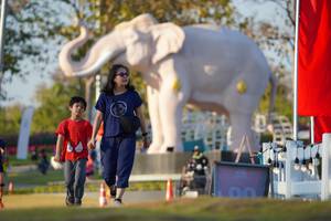 BIB: 
                            <button type="button" onclick="openModal(26188435)" class="btn btn-primary btn-sm float-right btn-popup" data-toggle="modal" data-target=".modal-high-quality">
                        <i class="fas fa-shopping-cart"></i> Add to Cart
                    </button>
                                            <button type="button" onclick="isThisMe(26188435, true)" class="btn btn-success btn-sm float-right btn-popup btn-isme hidden" data-toggle="tooltip" data-placement="bottom" title="นี่คือรูปของคุณใช่ไหม คลิกที่นี่เพื่อเอาเข้าอัลบั้ม">
                        <i class="fas fa-plus"></i> Add to album
                    </button>
                    <button type="button" onclick="isThisMe(26188435, false)" class="btn btn-warning btn-sm float-right btn-popup btn-isnotme hidden">
                        <i class="fas fa-ban"></i> Remove from album
                    </button>