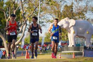 BIB: 
                            <button type="button" onclick="openModal(26188201)" class="btn btn-primary btn-sm float-right btn-popup" data-toggle="modal" data-target=".modal-high-quality">
                        <i class="fas fa-shopping-cart"></i> Add to Cart
                    </button>
                                            <button type="button" onclick="isThisMe(26188201, true)" class="btn btn-success btn-sm float-right btn-popup btn-isme hidden" data-toggle="tooltip" data-placement="bottom" title="นี่คือรูปของคุณใช่ไหม คลิกที่นี่เพื่อเอาเข้าอัลบั้ม">
                        <i class="fas fa-plus"></i> Add to album
                    </button>
                    <button type="button" onclick="isThisMe(26188201, false)" class="btn btn-warning btn-sm float-right btn-popup btn-isnotme hidden">
                        <i class="fas fa-ban"></i> Remove from album
                    </button>