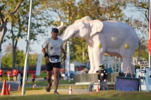 BIB: 
                            <button type="button" onclick="openModal(26188452)" class="btn btn-primary btn-sm float-right btn-popup" data-toggle="modal" data-target=".modal-high-quality">
                        <i class="fas fa-shopping-cart"></i> Add to Cart
                    </button>
                                            <button type="button" onclick="isThisMe(26188452, true)" class="btn btn-success btn-sm float-right btn-popup btn-isme hidden" data-toggle="tooltip" data-placement="bottom" title="นี่คือรูปของคุณใช่ไหม คลิกที่นี่เพื่อเอาเข้าอัลบั้ม">
                        <i class="fas fa-plus"></i> Add to album
                    </button>
                    <button type="button" onclick="isThisMe(26188452, false)" class="btn btn-warning btn-sm float-right btn-popup btn-isnotme hidden">
                        <i class="fas fa-ban"></i> Remove from album
                    </button>