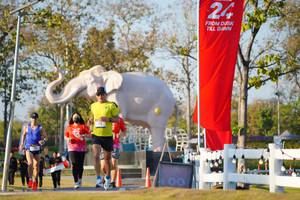 BIB: 
                            <button type="button" onclick="openModal(26188114)" class="btn btn-primary btn-sm float-right btn-popup" data-toggle="modal" data-target=".modal-high-quality">
                        <i class="fas fa-shopping-cart"></i> Add to Cart
                    </button>
                                            <button type="button" onclick="isThisMe(26188114, true)" class="btn btn-success btn-sm float-right btn-popup btn-isme hidden" data-toggle="tooltip" data-placement="bottom" title="นี่คือรูปของคุณใช่ไหม คลิกที่นี่เพื่อเอาเข้าอัลบั้ม">
                        <i class="fas fa-plus"></i> Add to album
                    </button>
                    <button type="button" onclick="isThisMe(26188114, false)" class="btn btn-warning btn-sm float-right btn-popup btn-isnotme hidden">
                        <i class="fas fa-ban"></i> Remove from album
                    </button>